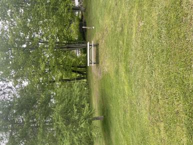 White Birches Camp